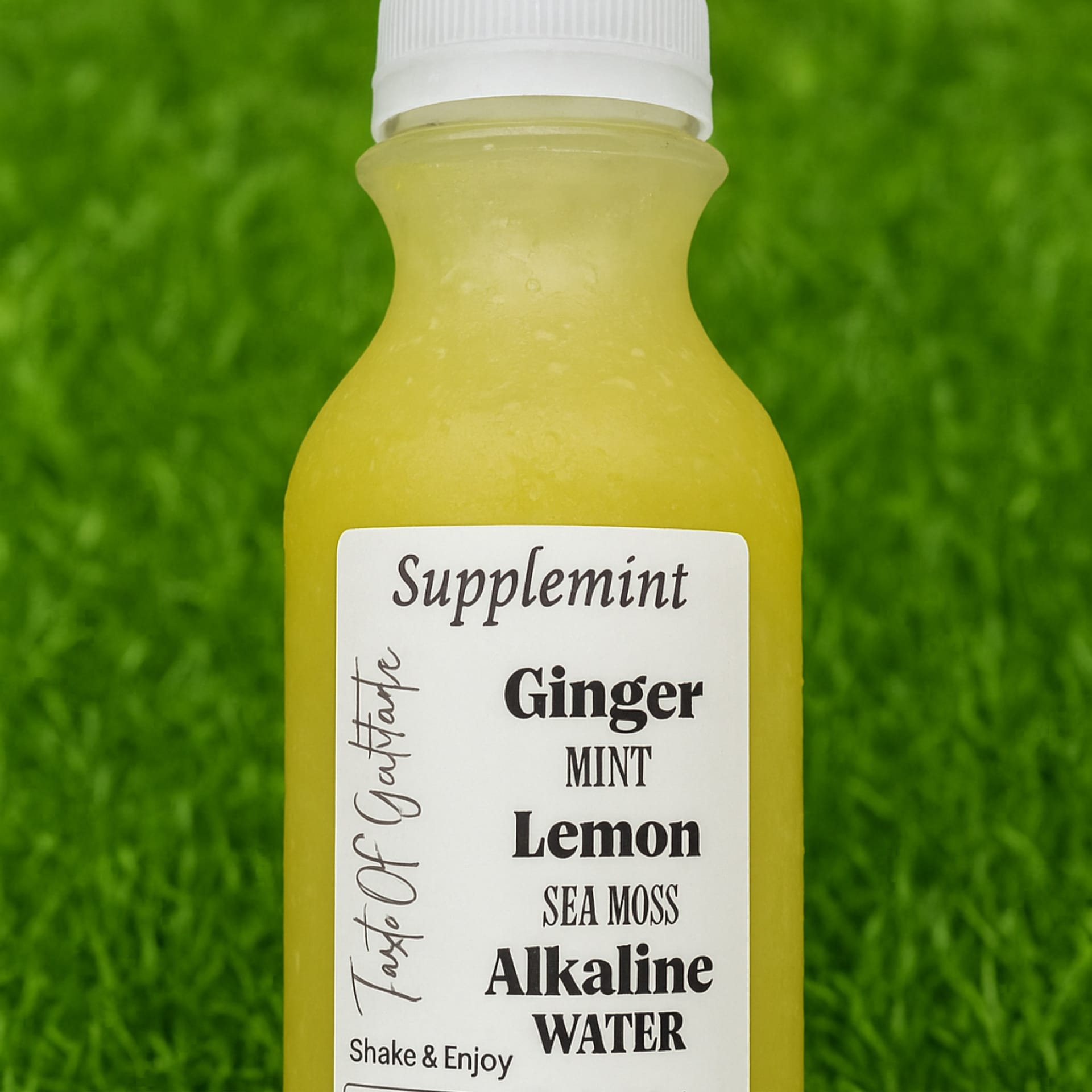 SuppleMint with sea moss, ginger, and agave for Digestive Health and Immune Support